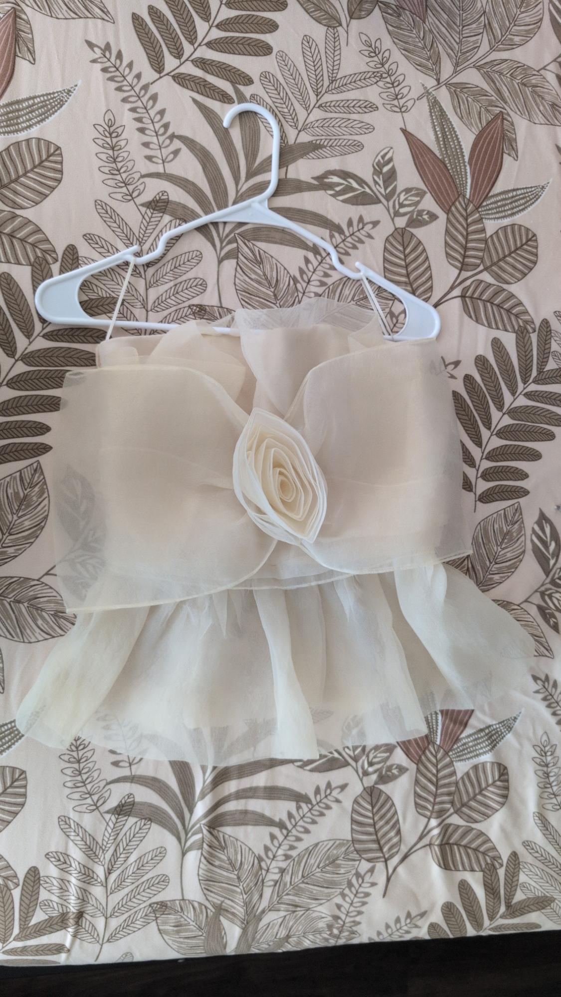 Cream strapless top with a central flower and ruffled hem, on a white hanger against a leaf-print background.