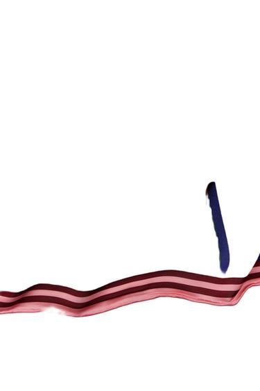 Zara SATIN STRIPED SCARF - Pink