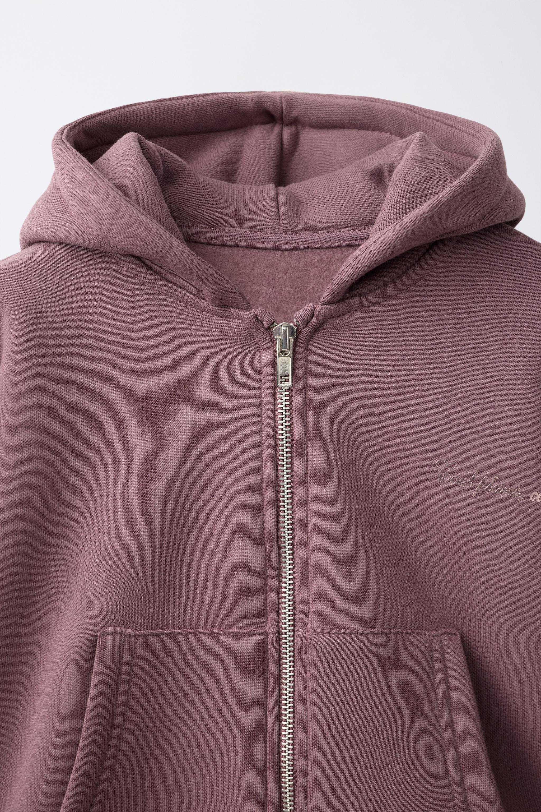 SEQUIN WINGS ZIP-UP HOODIE - Pink | ZARA United States
