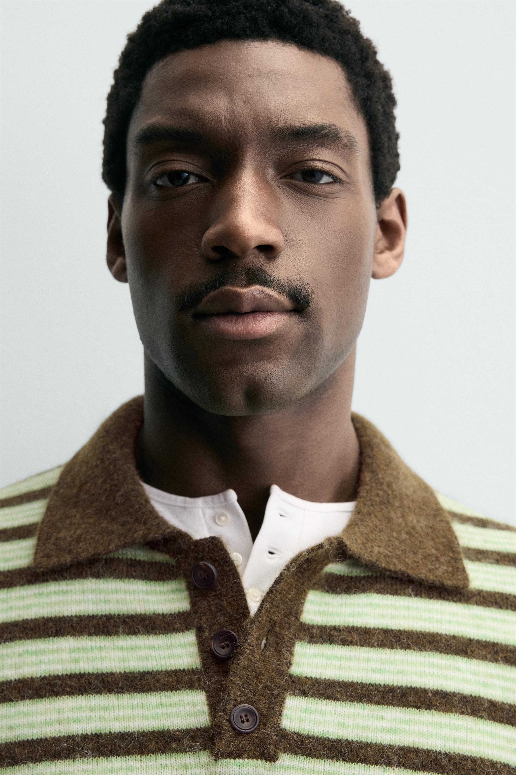 ストライプ柄ニットポロシャツ - ストライプ | ZARA Japan / 日本