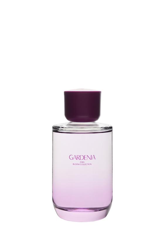 GARDENIA EDP 150ML0ZaraのGARDENIA EDP 150ML -  - 画像 0