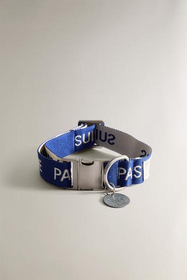 COLLIER ANIMAUX DE COMPAGNIE RUE DU BAC - Bleu de Zara - Image 4