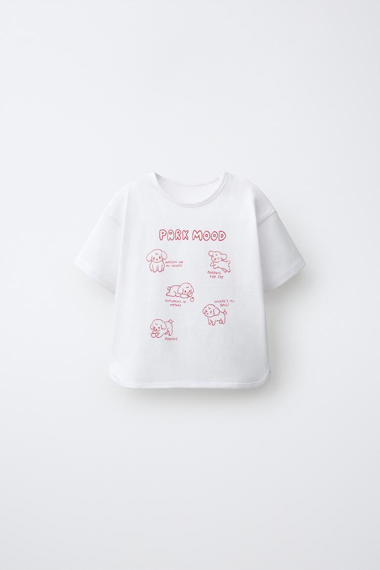 Camiseta estampados
