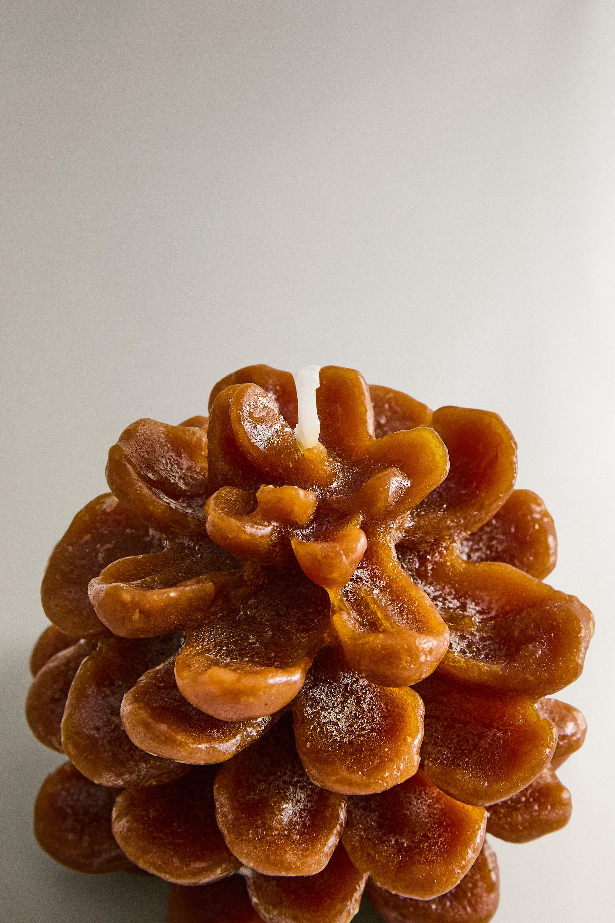 PUMPKIN SPICE PINE CONE SCENTED CANDLE — Pumpkin