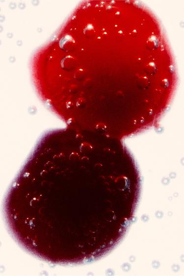 CHERRY STAIN 02 EDP 100ML / 3.4 oz - TINTED LEATHER by Zara