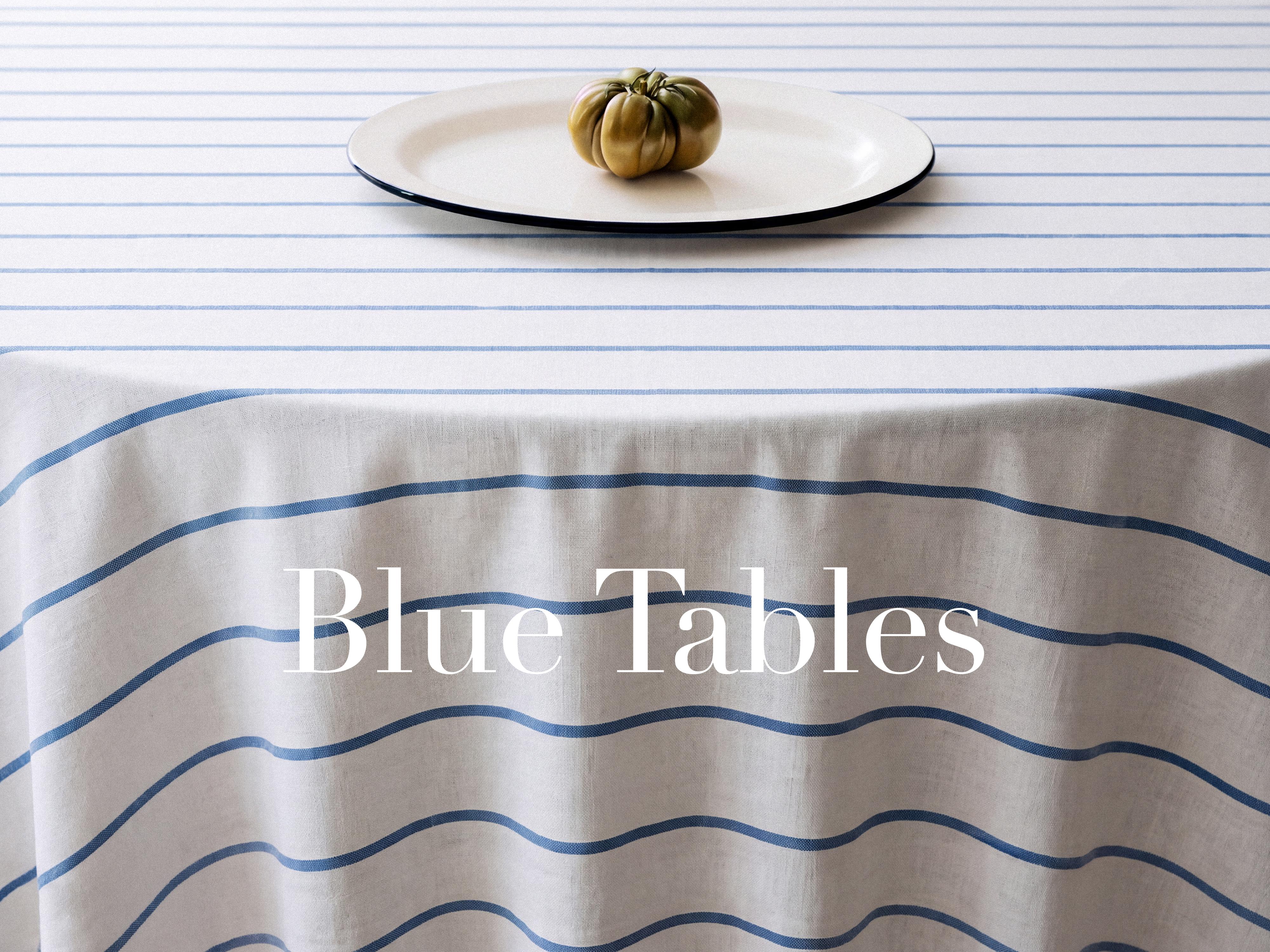 EMBROIDERED STRIPE TABLECLOTH — Blue / White