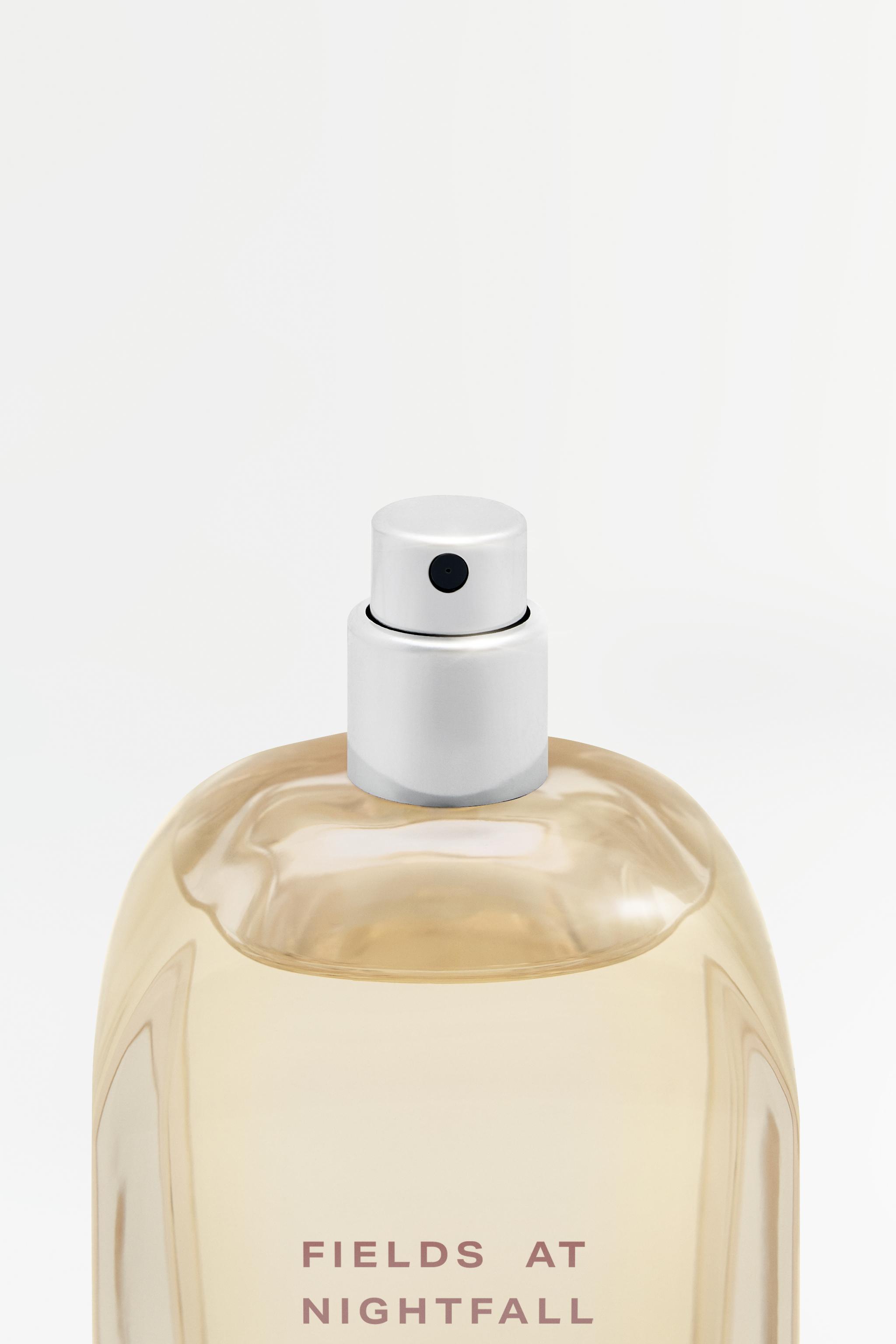 FIELDS AT NIGHTFALL BLUSH EDP 100ML (3.4 FL. OZ). | ZARA Japan / 日本