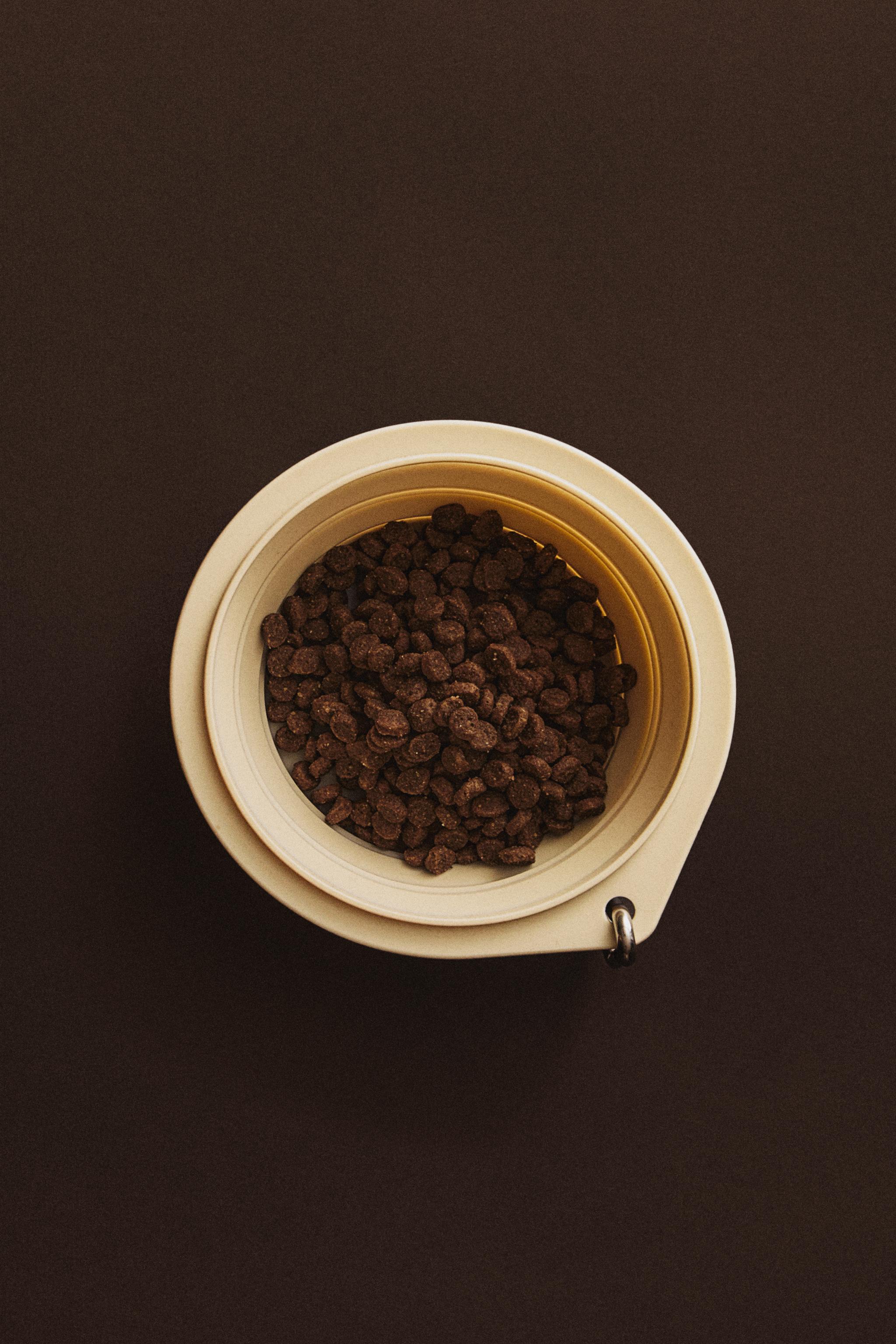 FOLDABLE SILICONE PET FOOD BOWL