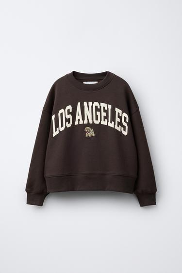 SUDADERA TEXTO PERRITO BORDADO - Marrón de Zara