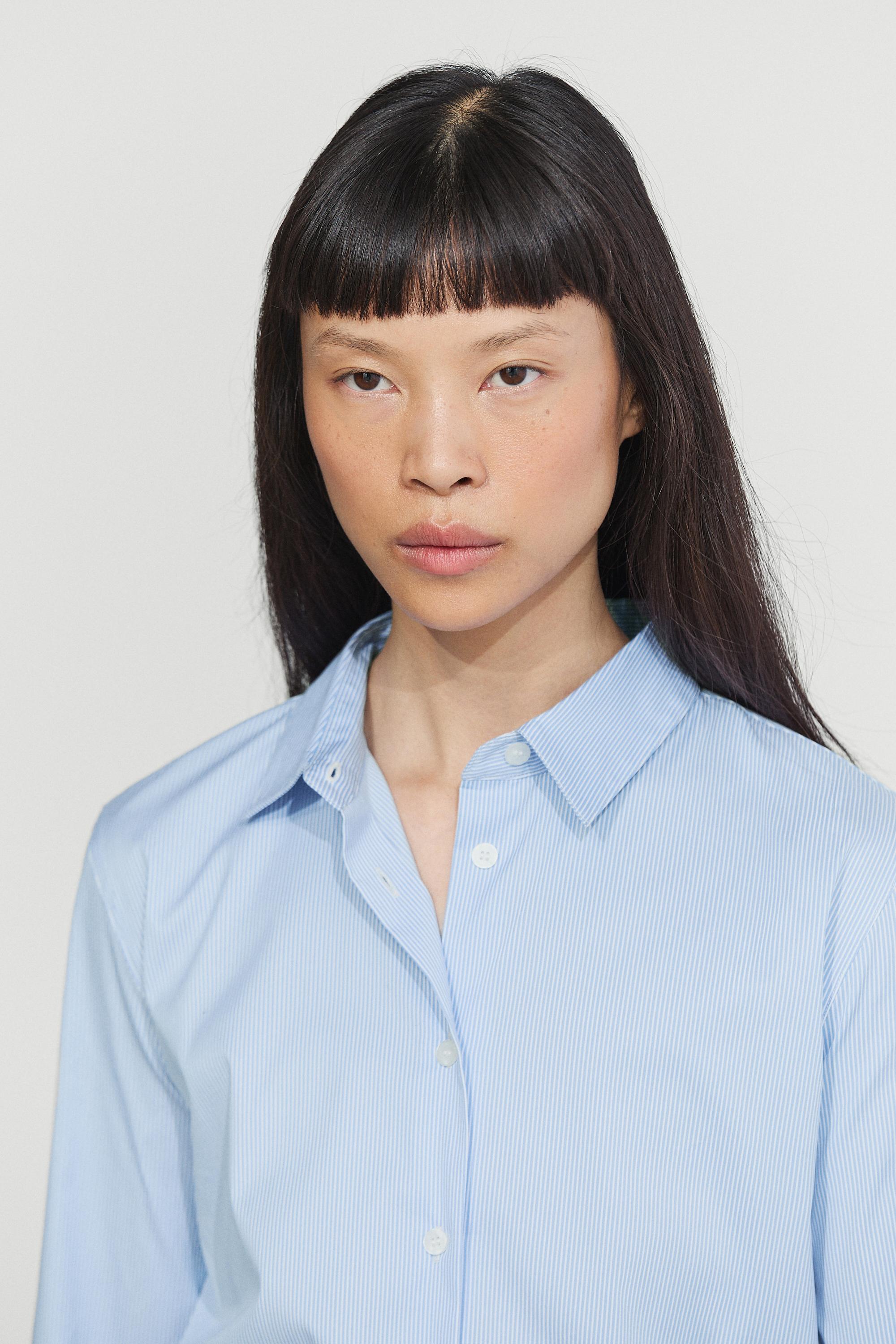 Striped stretch poplin shirt