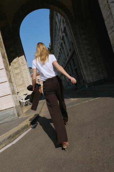STRAIGHT-LEG DARTED TROUSERS - Brown by Zara - Image 5