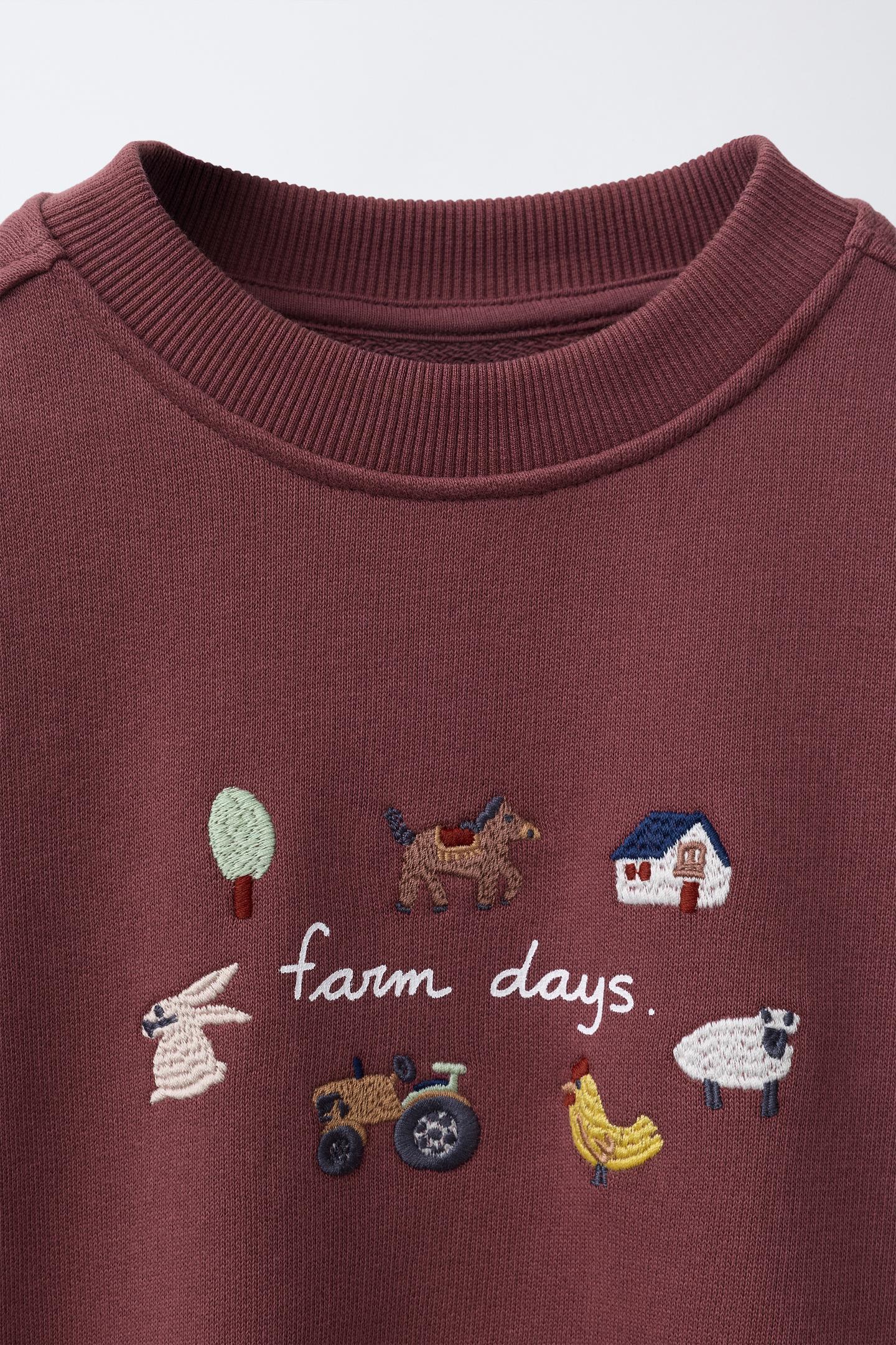 Детская толстовка Zara Farm Embroidery, цвет: Бордовый — фото 3