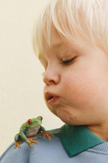 ANIMAL EMBROIDERY SWEATSHIRT - Mid-blue by Zara