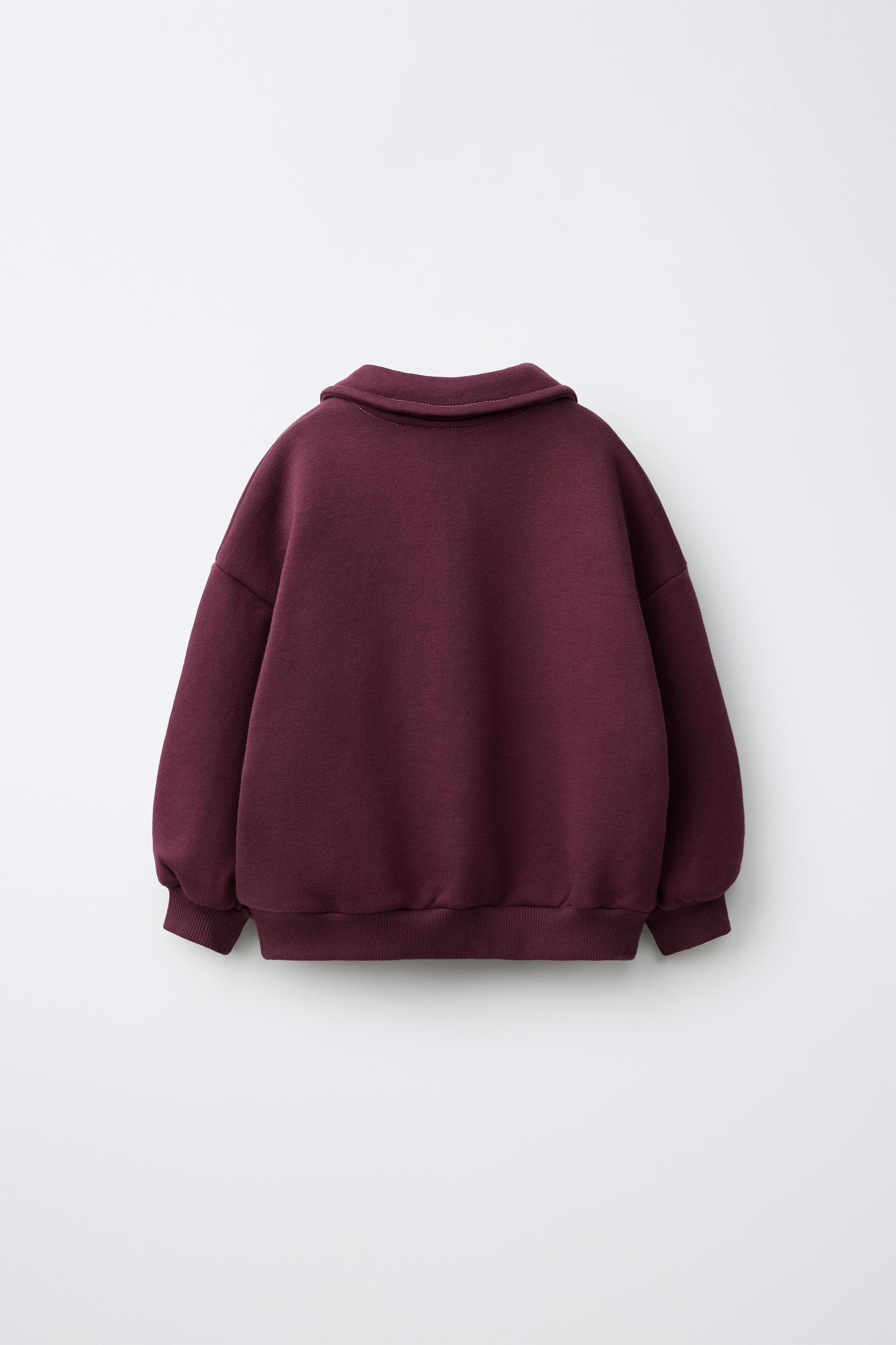 EMBROIDERED FROG FASTENING POLO SWEATSHIRT — Eggplant