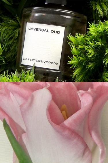 UNIVERSAL OUD EDP 100 ML (3.4 FL.OZ). -  de Zara - Image 2