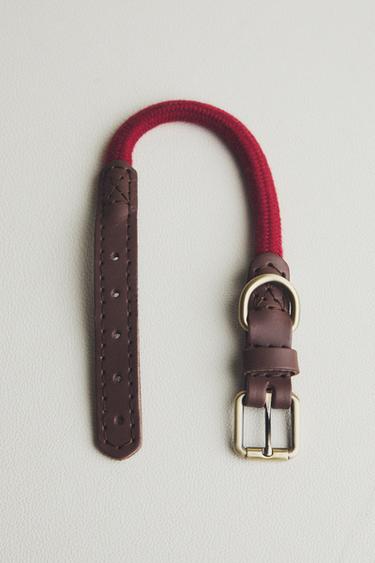 COLLIER CORDE CUIR CHIENS - Rouge de Zara - Image 6