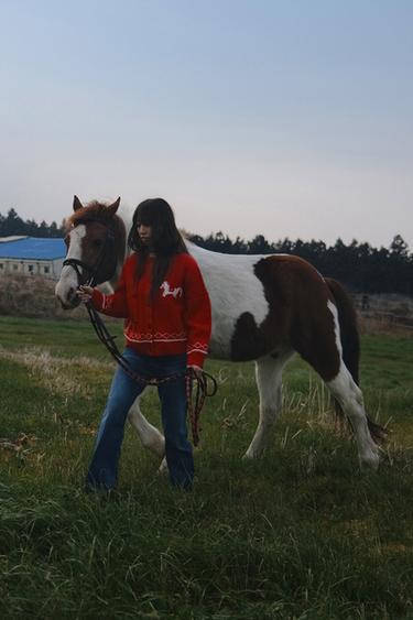 자카드 니트 재킷 - Zara 레드