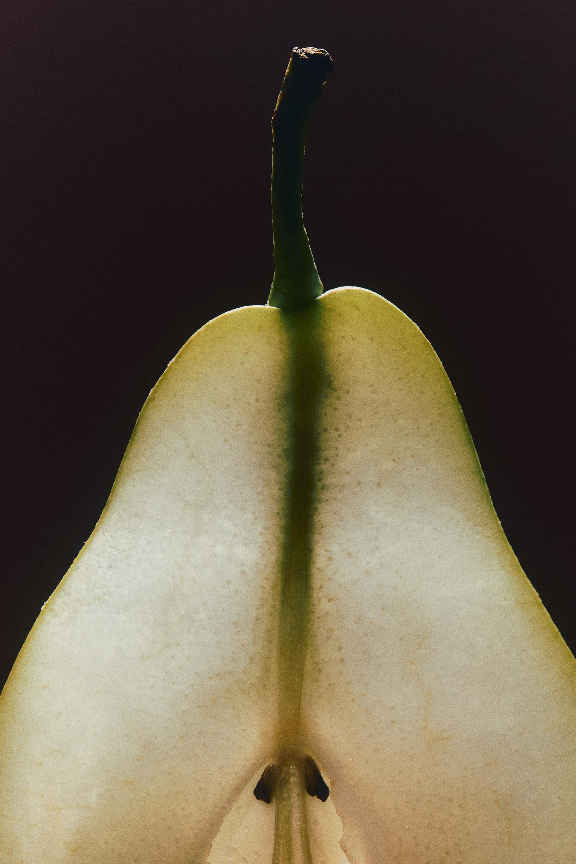 zara hypnotic vanilla bloom