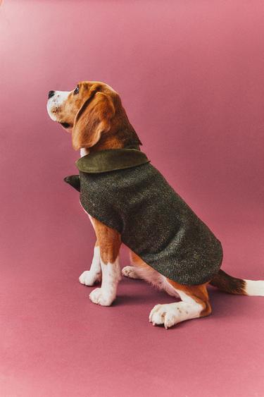 MANTEAU EN LAINE POUR ANIMAUX DE COMPAGNIE - Vert de Zara