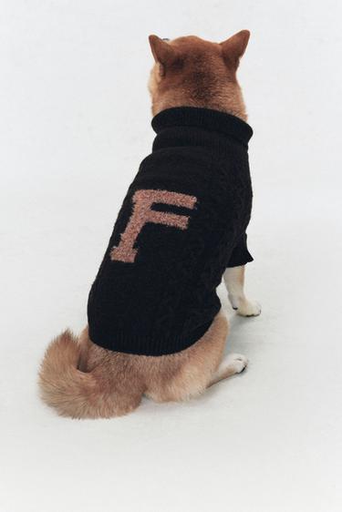 WOOL JUMPER FOR PETS SOSHIOTSUKI x ZARA - Chocolate by Zara - Image 2