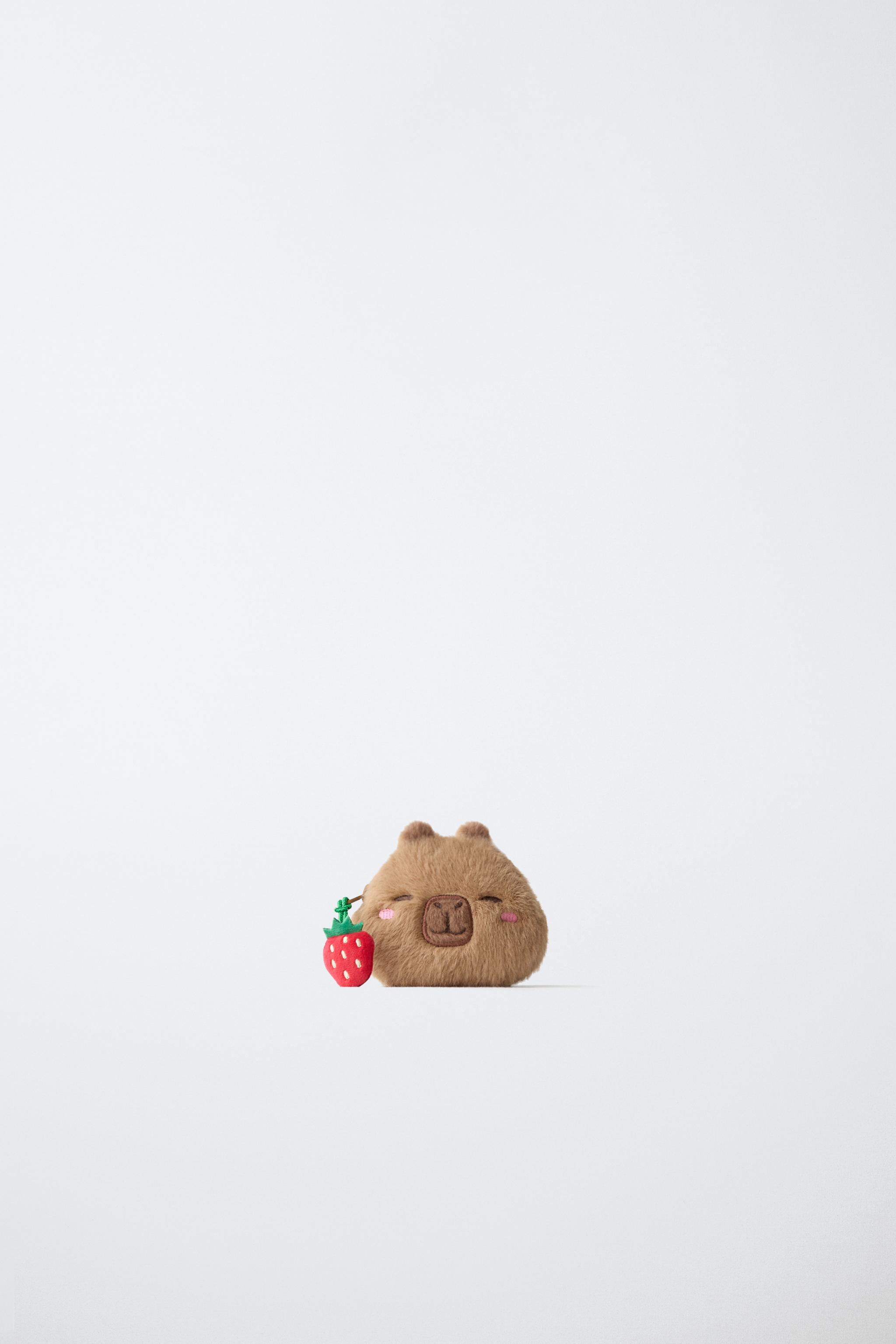 CAPYBARA CAPYFUN © COIN PURSE