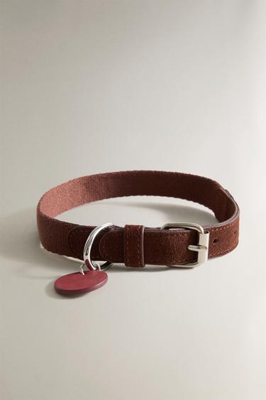 LEATHER PET COLLAR - Burgundy by Zara - Image 3