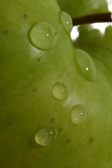 Zara APPLEJUICE EDT 30ML (1.01 FL. OZ). -  - Image 0