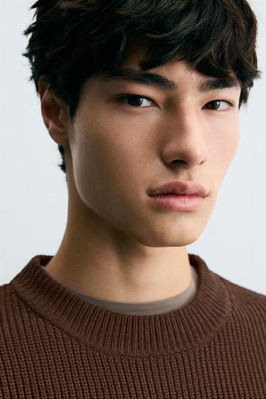 TEXTURED CHENILLE SWEATER - Brown by Zara