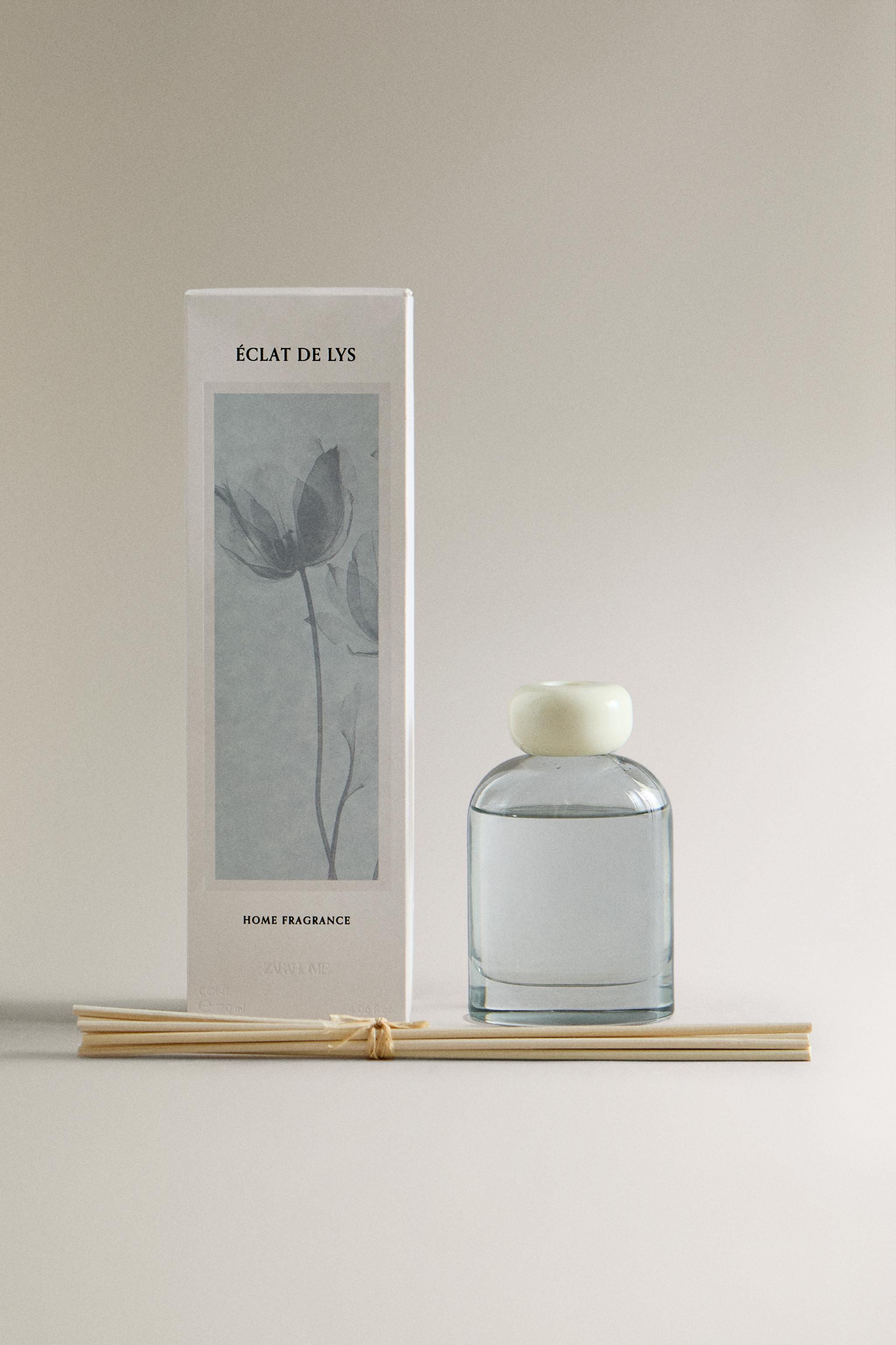 120ML) ÉCLAT DE LYS リードディフューザー - ライトブルー | ZARA