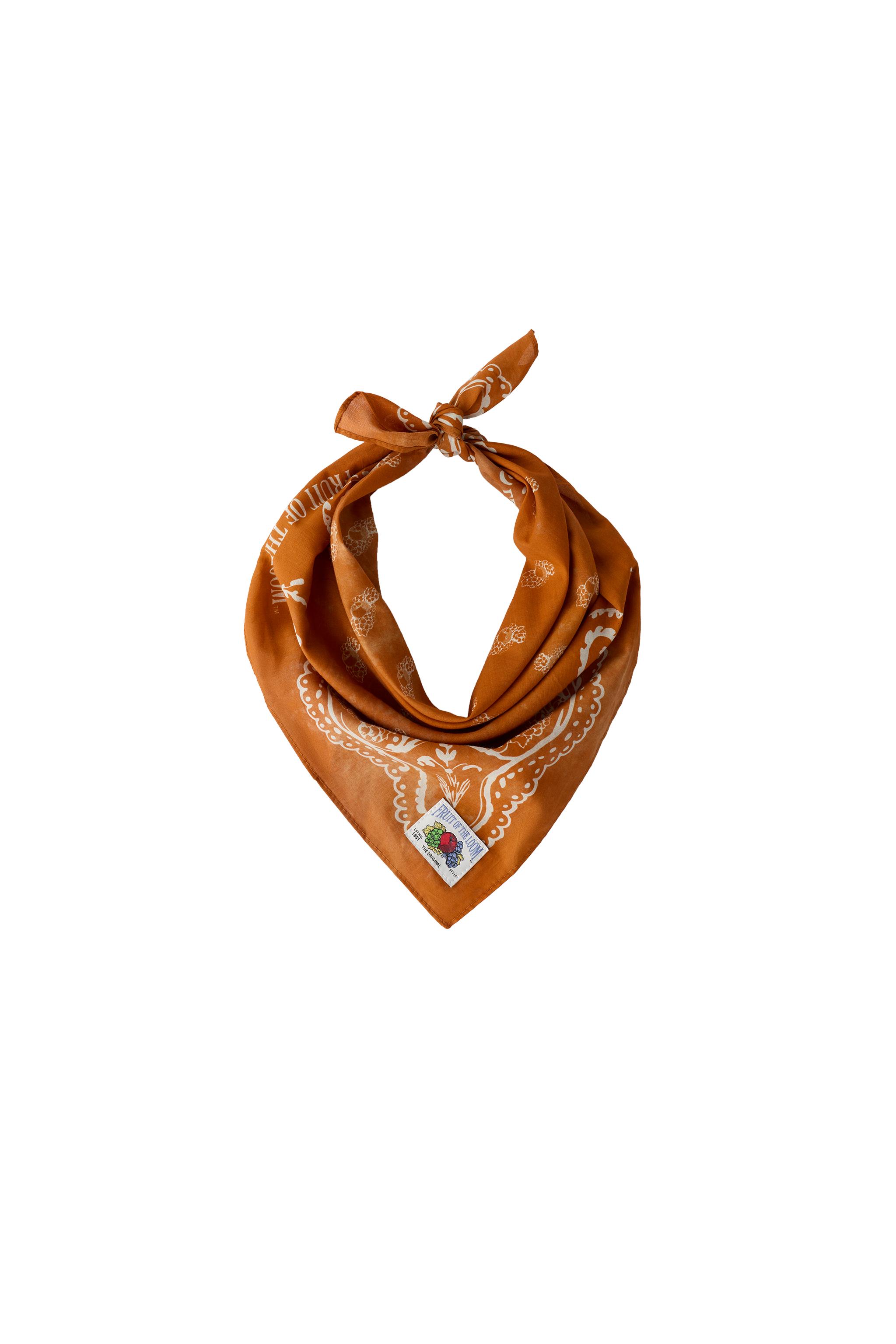 PAISLEY PRINT LABEL BANDANA FRUIT OF THE LOOM™