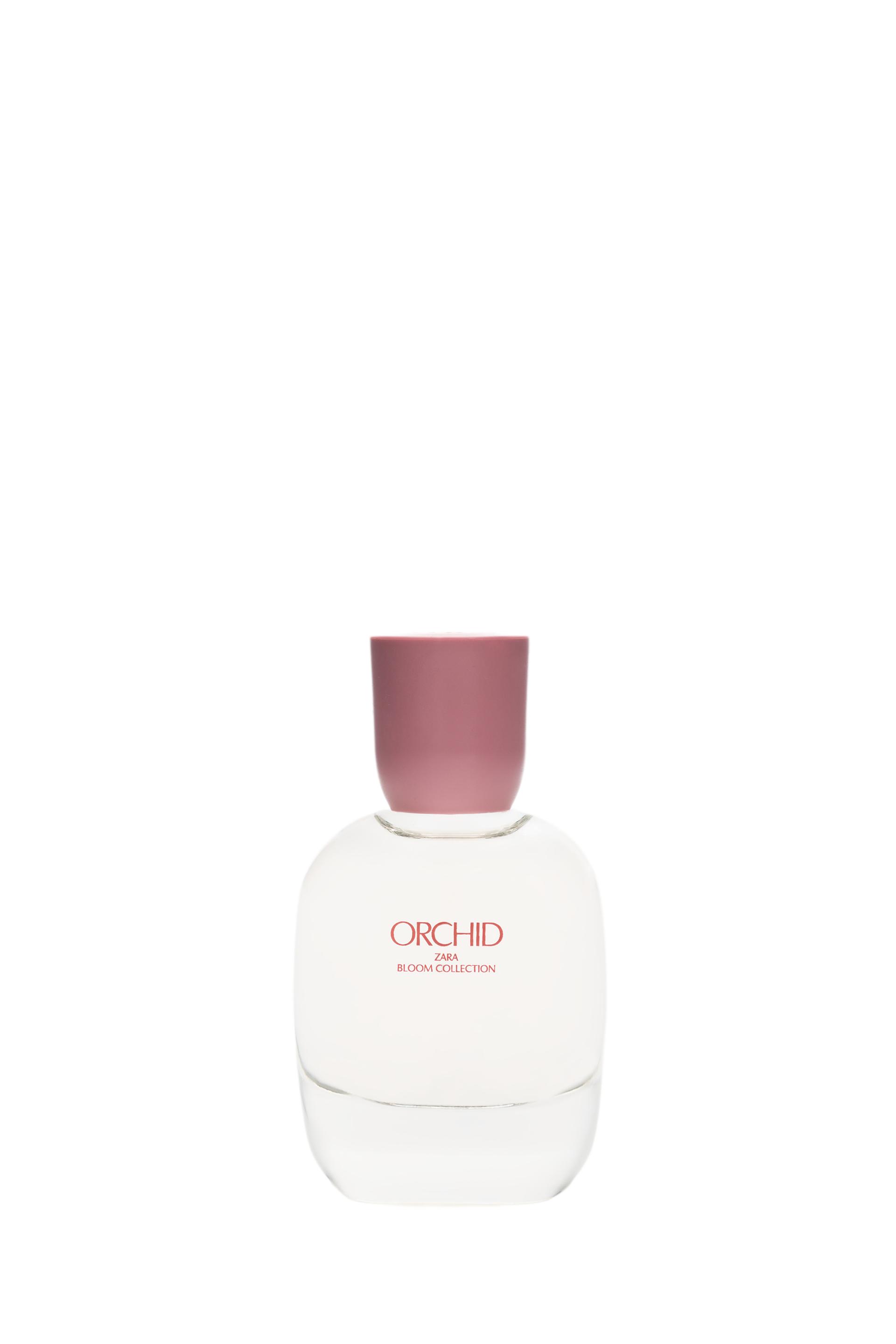 zara orchid