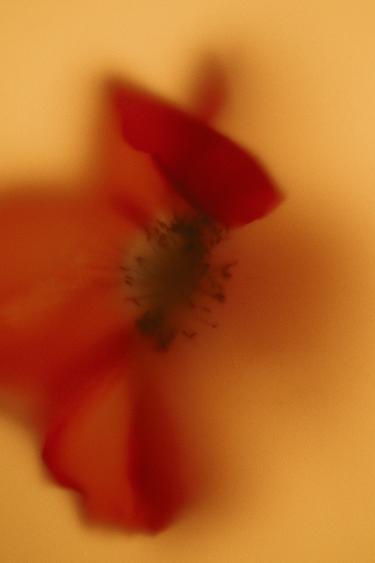 GOLDEN DECADE PARADISE EDP 80ML / 2.71 oz -  by Zara - Image 2