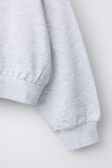 SWEAT À CAPUCHE TEXRO EN RELIEF - Gris chiné de Zara - Image 4
