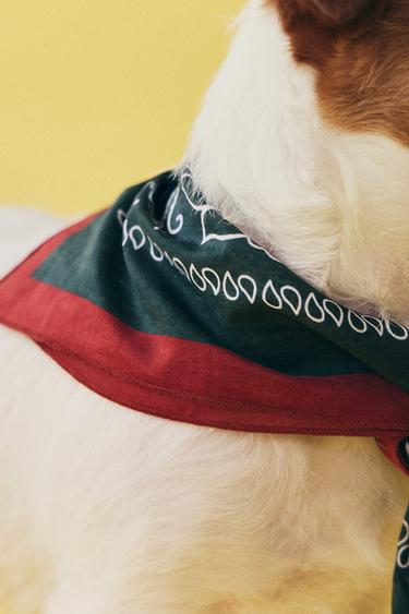 ΜΠΑΝΤΑΝΑ ΜΕ ΣΧΕΔΙΟ PAISLEY ΑΠΟ ΒΑΜΒΑΚΙ ΓΙΑ ΚΑΤΟΙΚΙΔΙΑ - Πράσινο του Zara