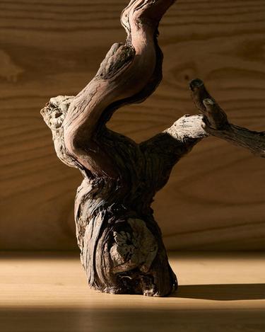 VIBRANT LEATHER EDP 100 ML / 3.38 oz - TINTED LEATHER by Zara