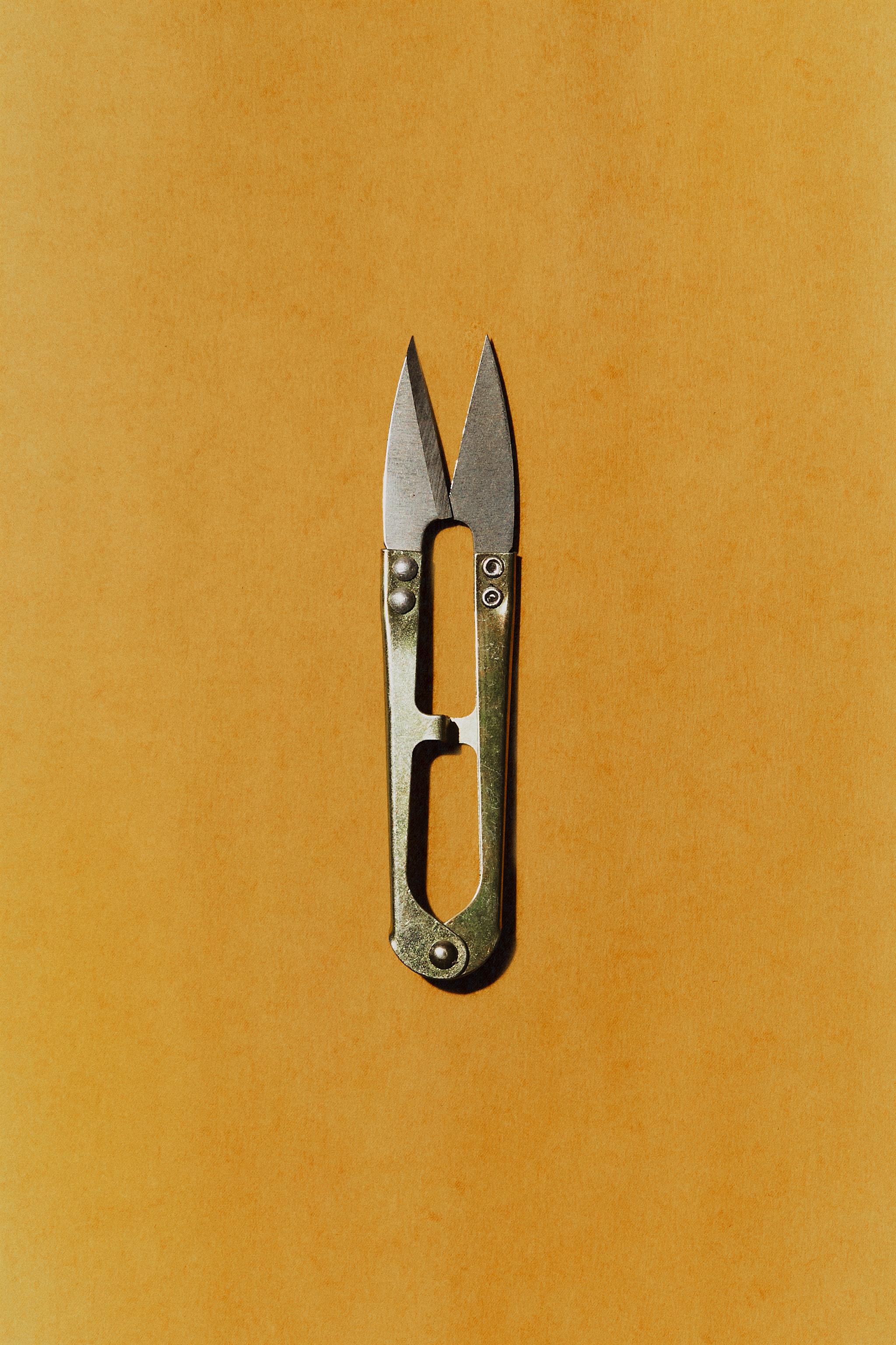 GARDEN CUTTING SHEARS