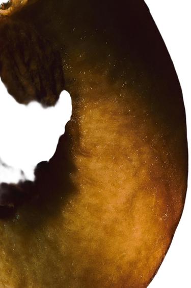 HYPNOTIC VANILLA EDP 30ML (1.01 FL. OZ). -  de Zara - Imagen 0