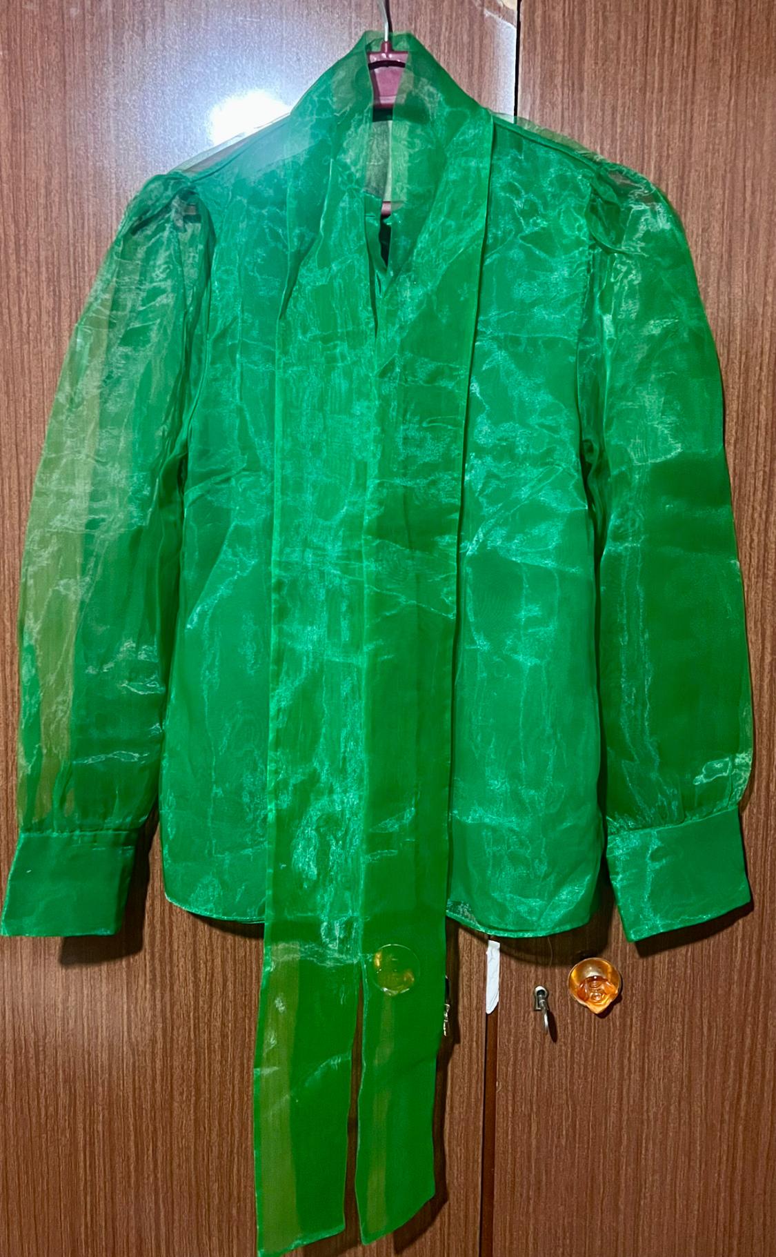 Green sheer blouse hanging on a hanger over a wooden door. Long sleeves and a bow at the neck.