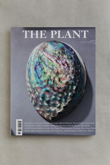 THE PLANT 2 MAGAZINE (ENGLISH) - Aquamarine by Zara - Image 0
