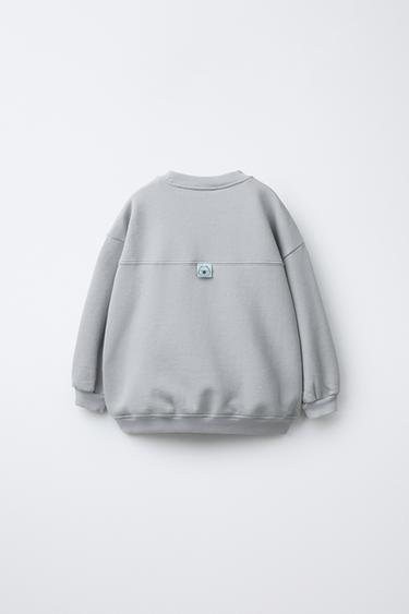 SUDADERA ESTAMPADA CAPIBARA CAPYFUN © - Hielo de Zara