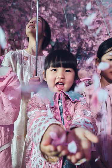 SHIFFLY EMBROIDERED JACKET - Light pink by Zara