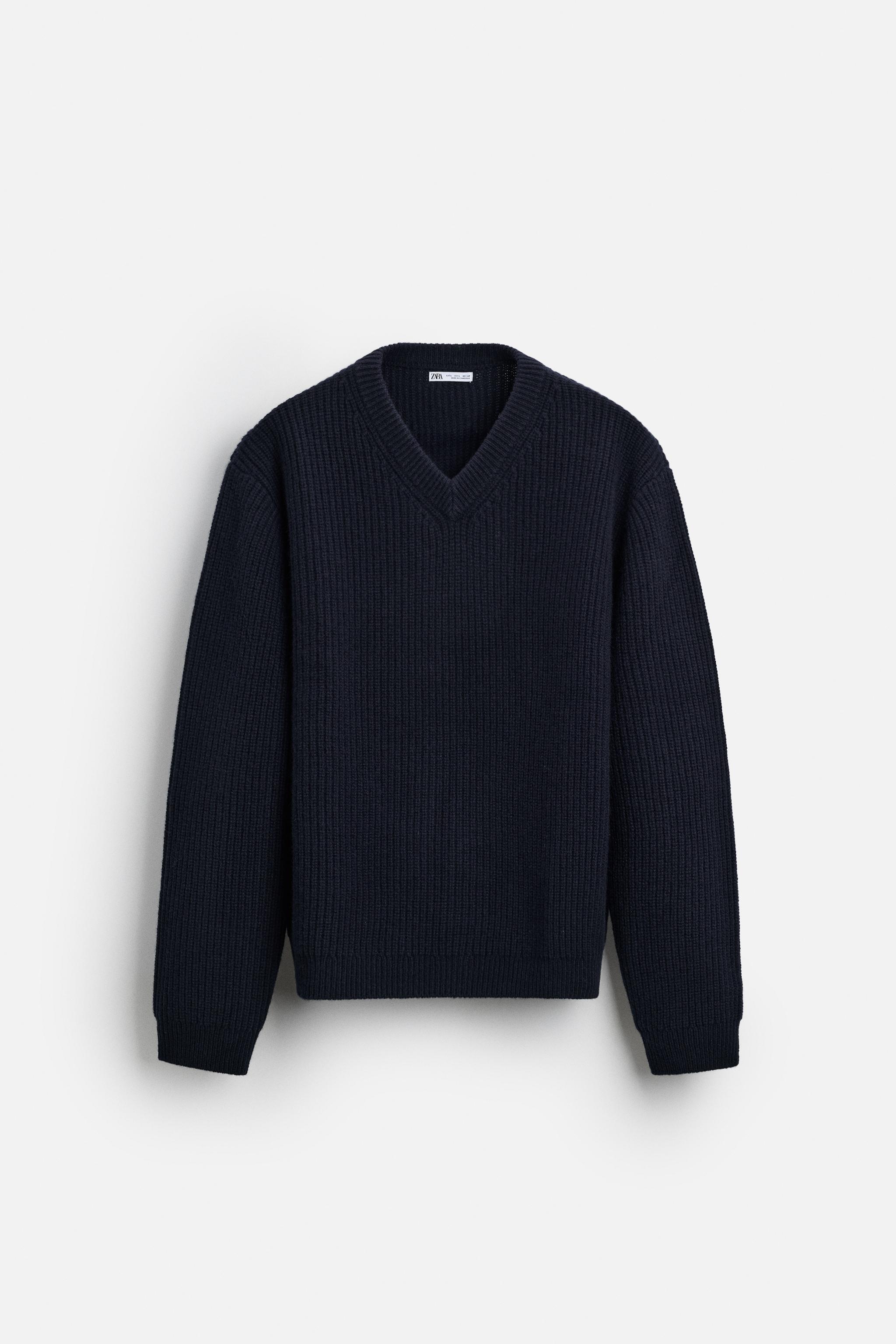 Champion sweater navy blue zara best sale