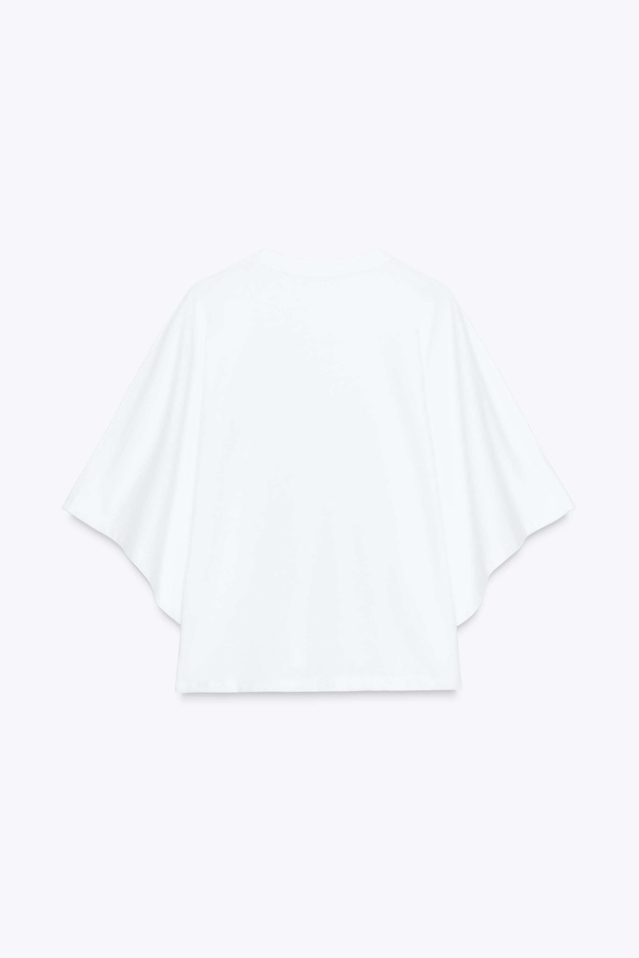 【ZARA】PINK FLOYD ウォッシュド加工Ｔシャツ 1277/309/807 PINK FLOYD ウォッシュド加工Tシャツ - カーボングレー | ZARA
