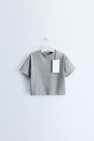 Zara ZARA TIMELESS - TEXT PRINT T-SHIRT - Gray marl