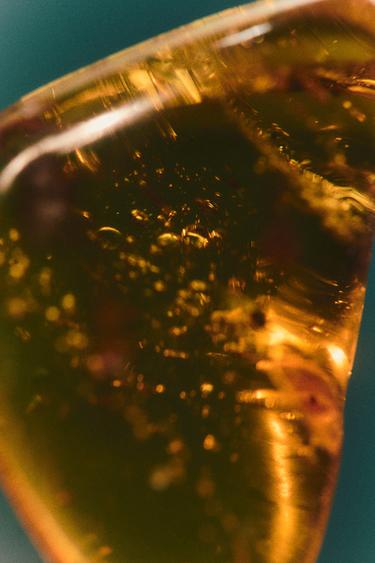 IMMORTAL VANILLA EDP 80ML (2.72 FL. OZ) -  by Zara - Image 2