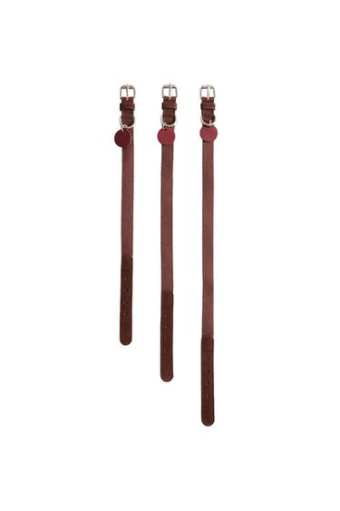 LEATHER PET COLLAR - بورجندي الخاص بـ Zara