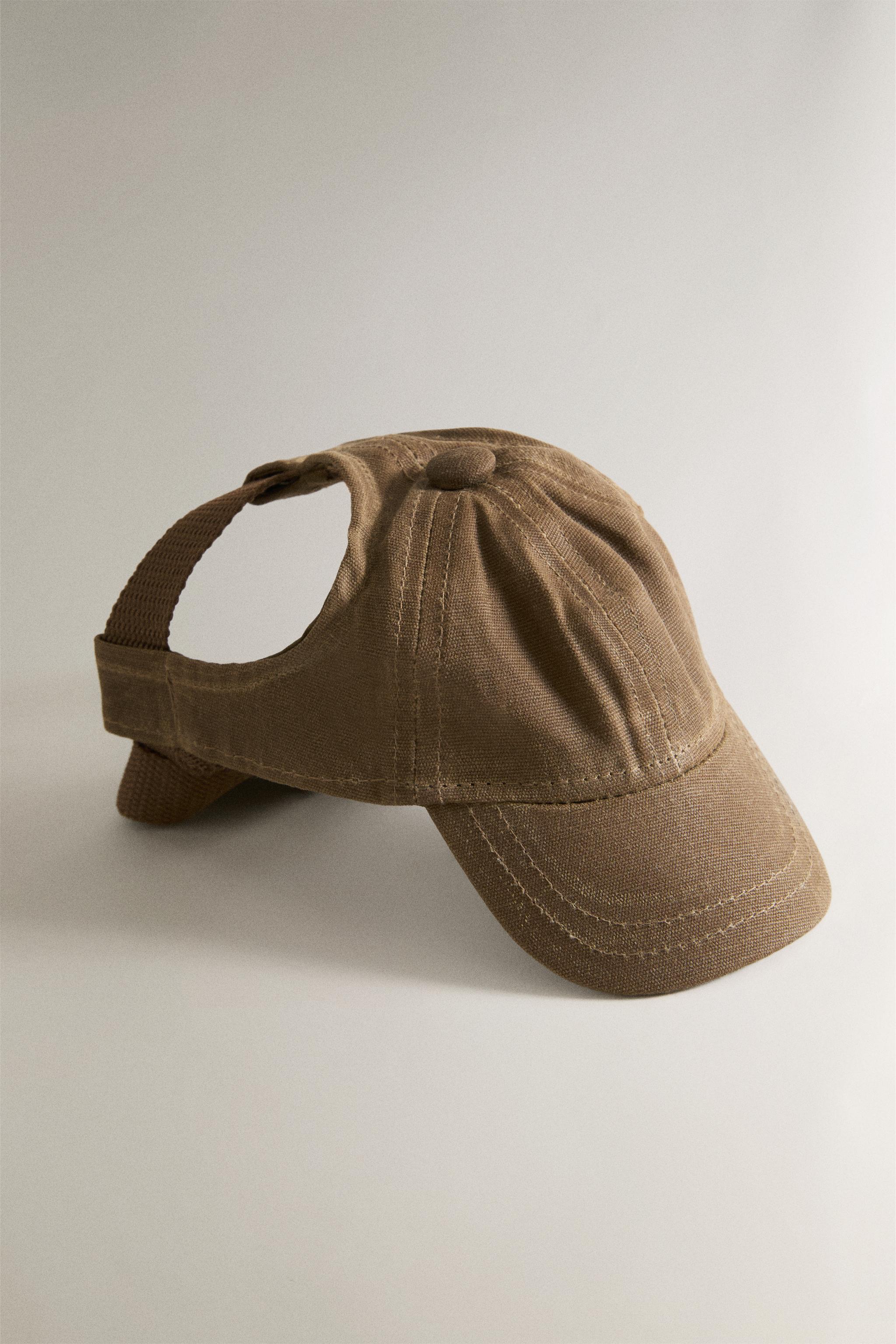 WAXED COTTON PET CAP — Greenish