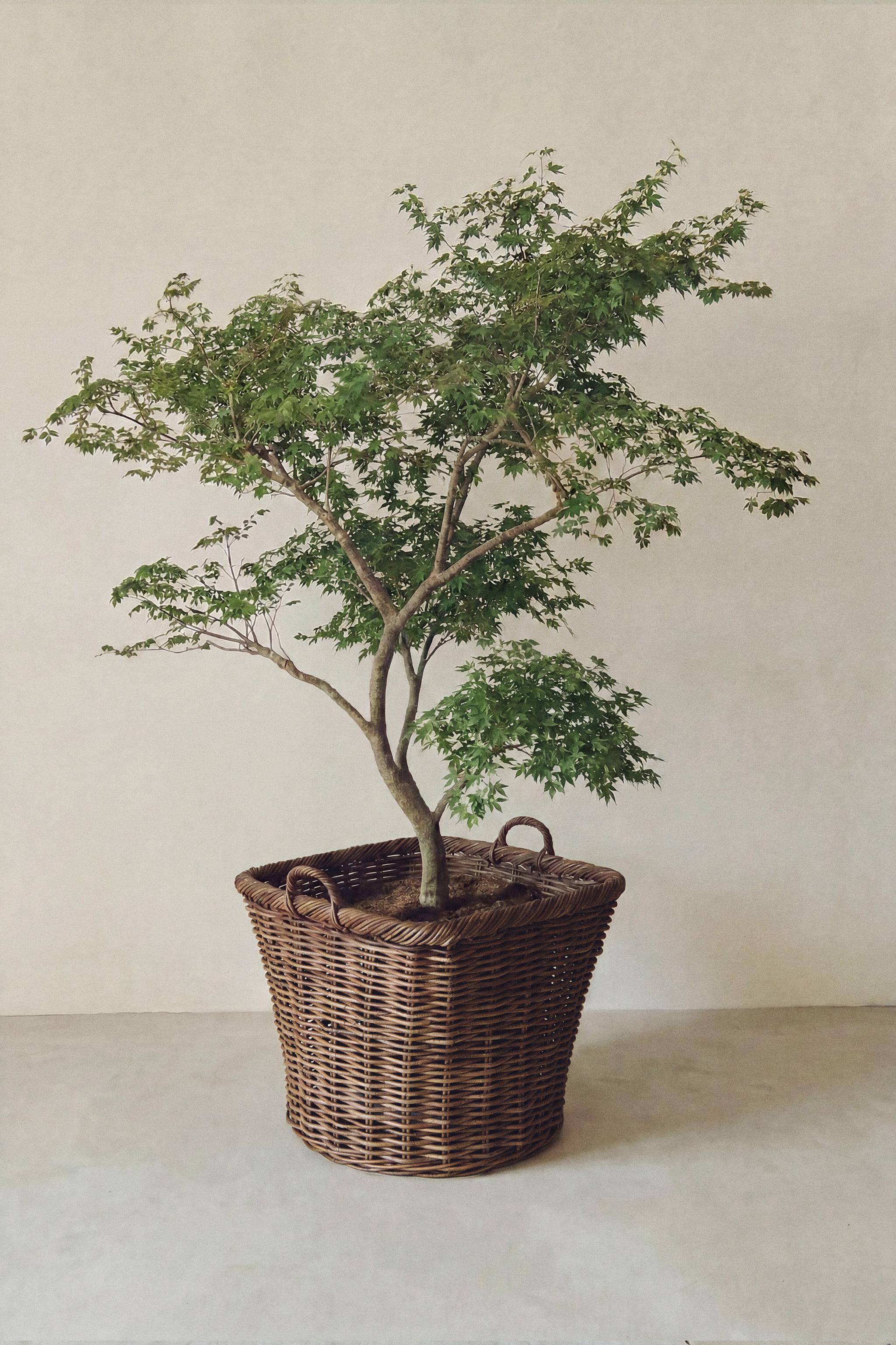 SQUARE RATTAN BASKET