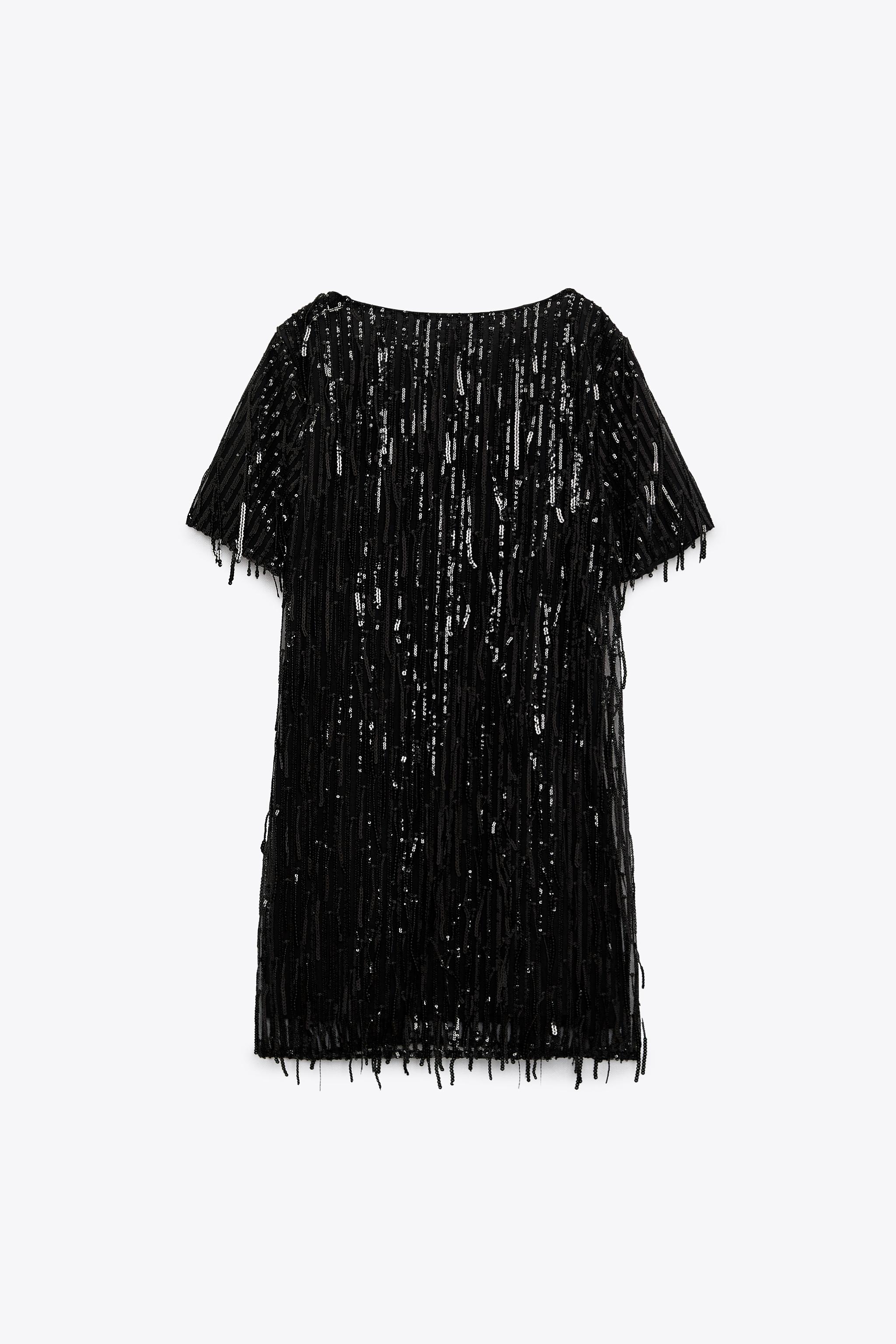 Fringed sequin dress zara best sale