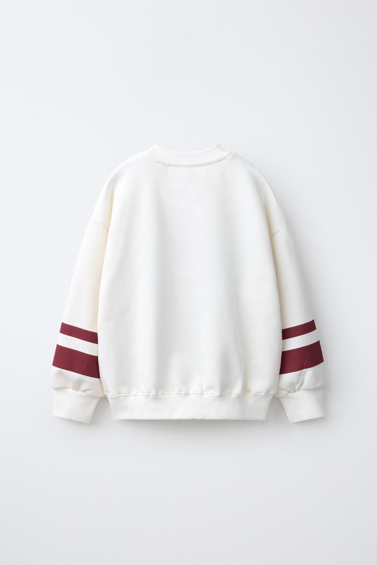 Sudadera universitaria de Capibara Capyfun © 2